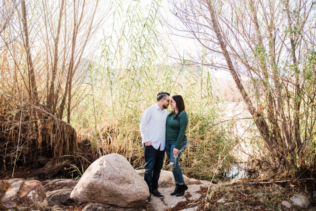 mesa Arizona engagement photos couple under tree 