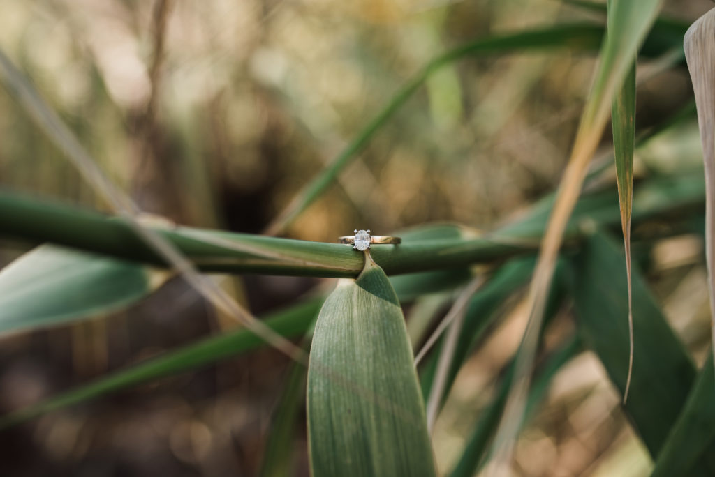 Wedding ring detail on a leaf mesa arizona 
