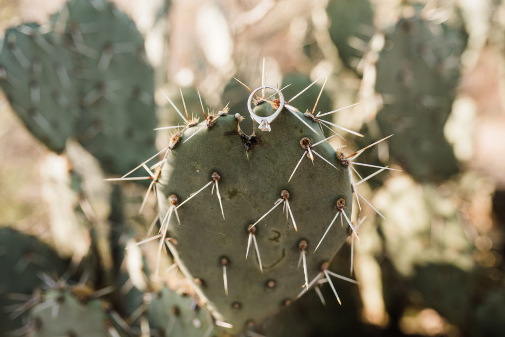 Wedding ring detail on cactus