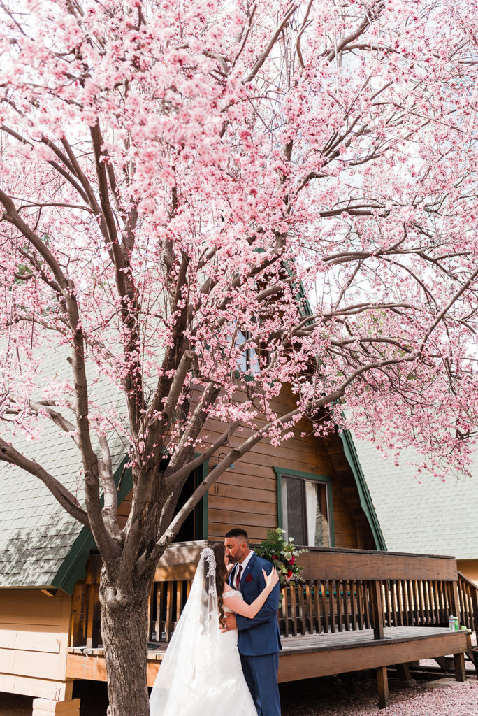 bride and groom kiss under cherry blossom tree at their Cabins on Strawberry Hill Wedding