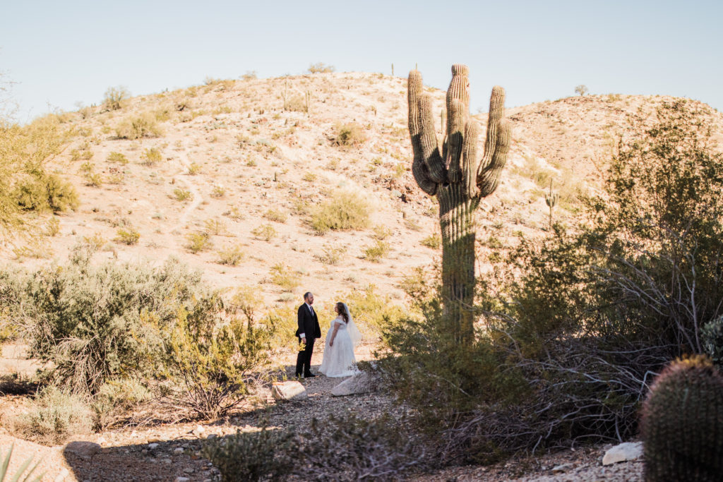 bride and groom wedding couple in the desert portraits