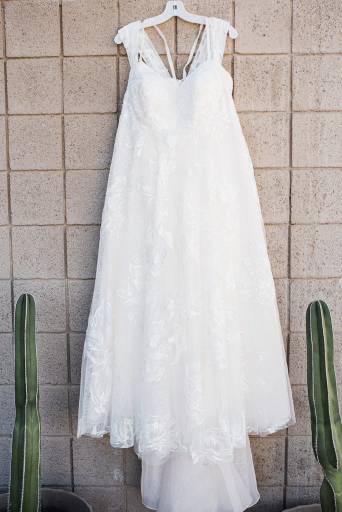 Wedding dress hung on wall with cactus 