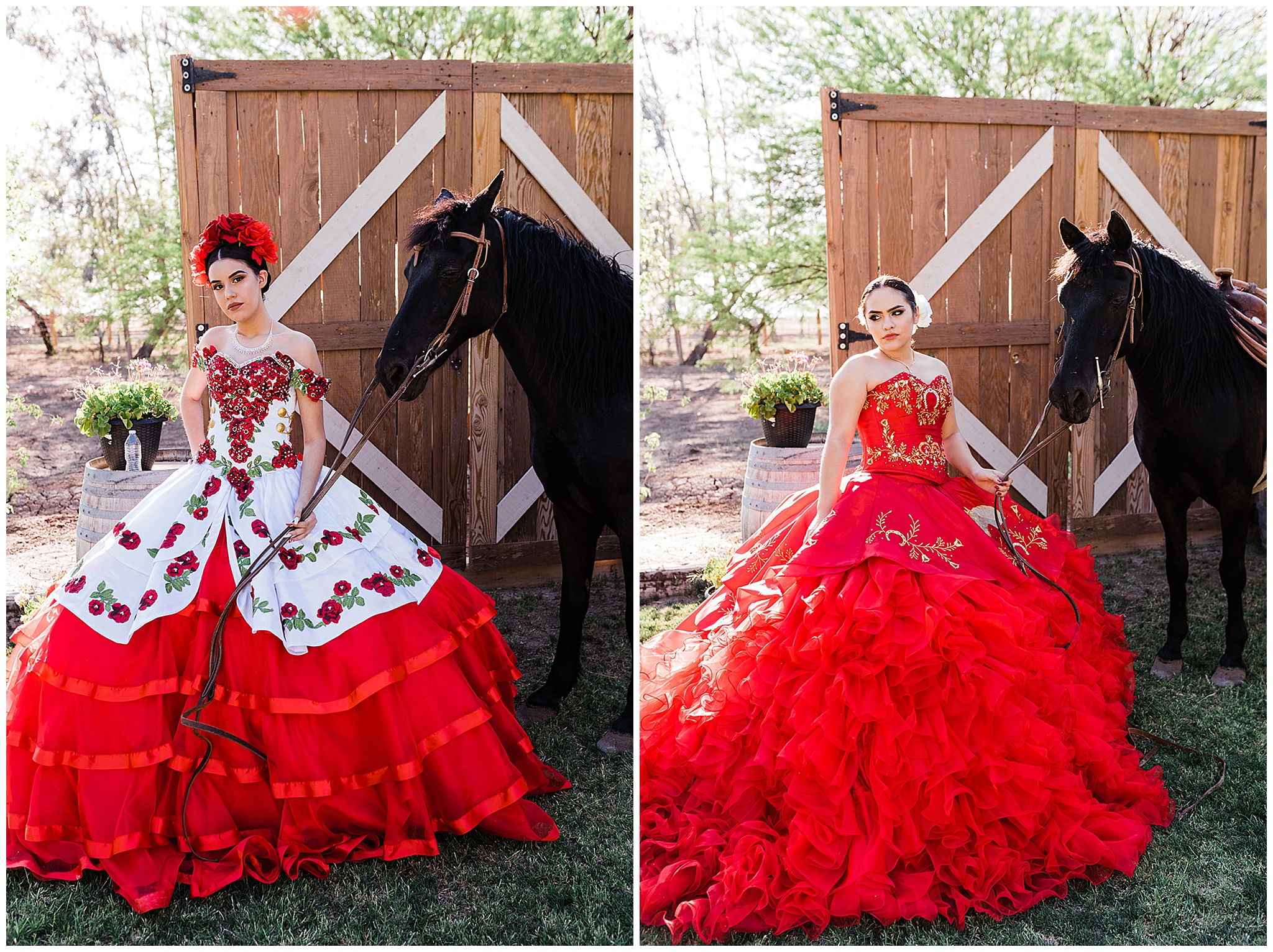 Teenagers in large red ballgowns hold the reigns of a black horse Phoenix Quinceaneras dresses