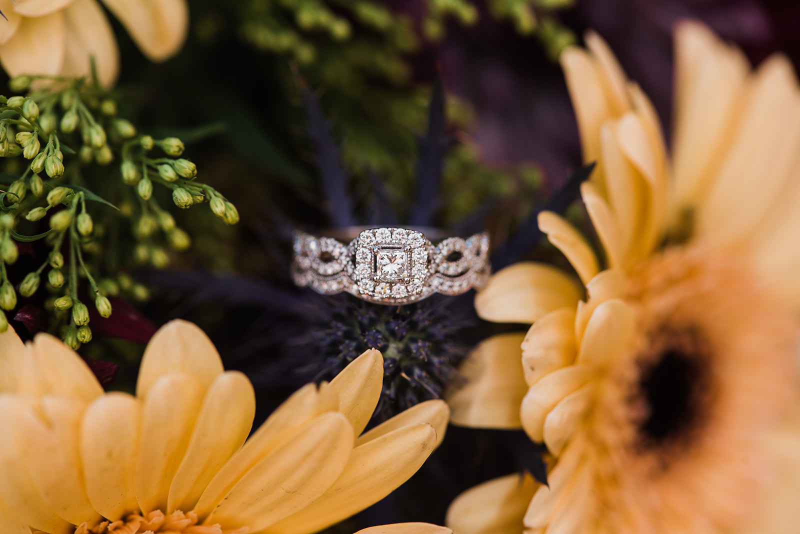 A wedding ring sits on a purple flower amongst tan daisies