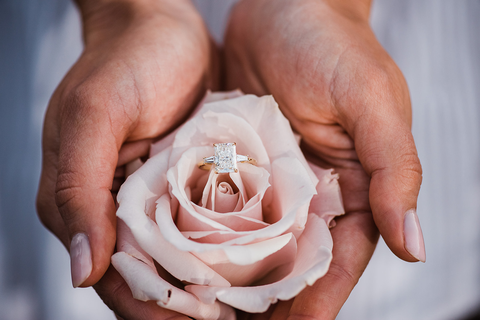 An engagement ring sits in a pink rose in a woman's palms The Yes Girls