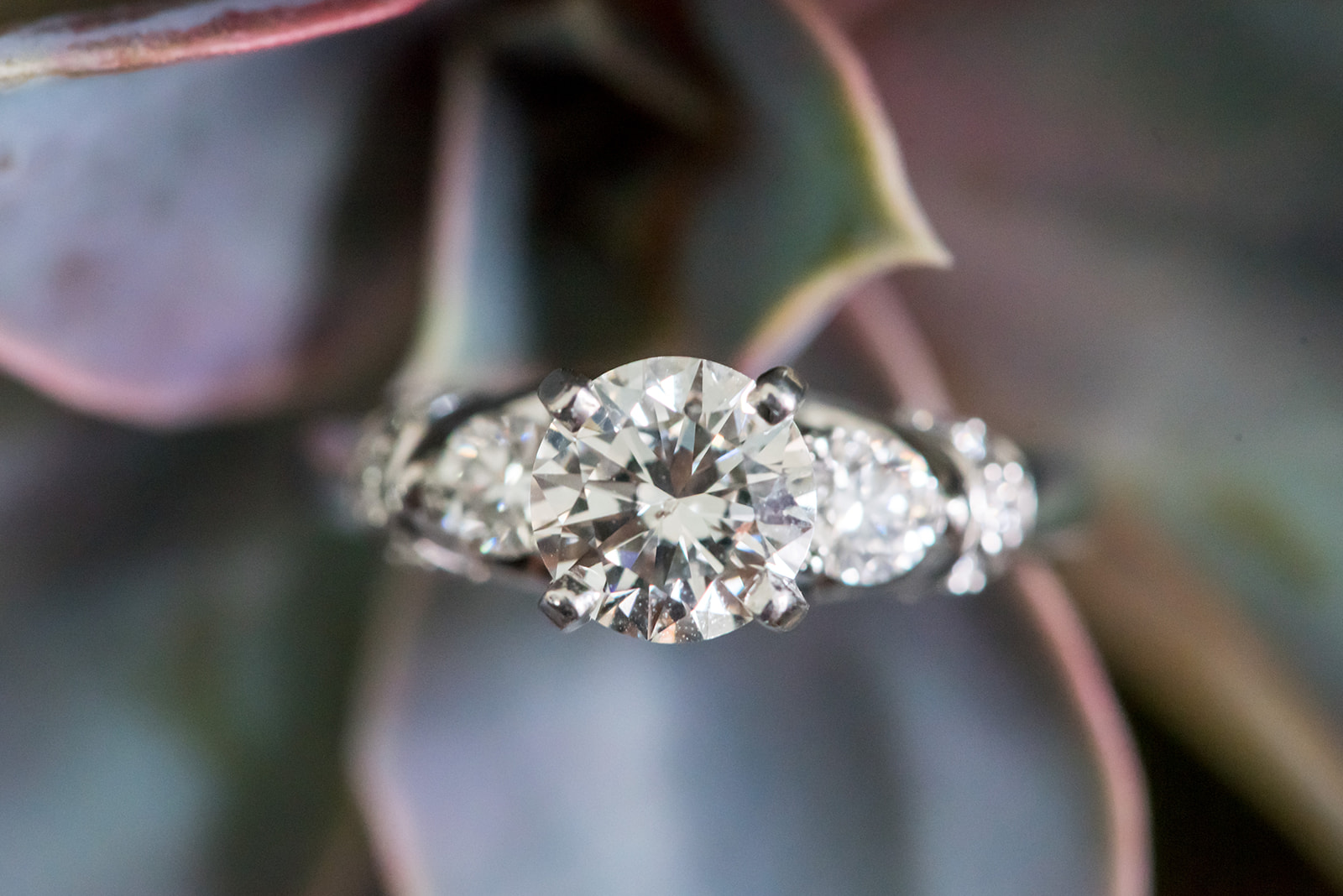Details of a diamond engagement ring sitting on a plant