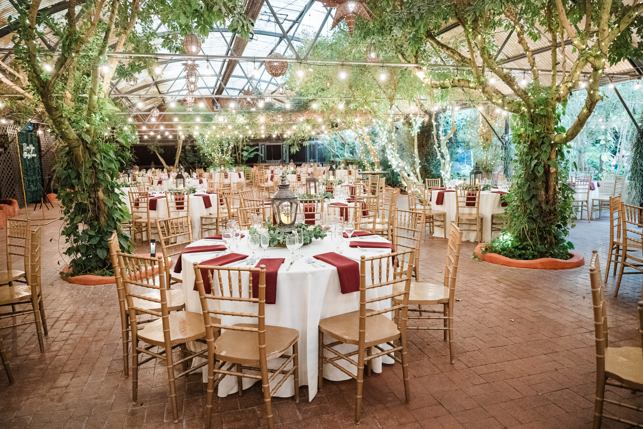 Boojum tree hidden gardens wedding 